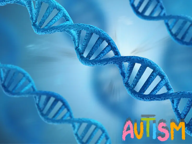 Overview of Autism Genetics