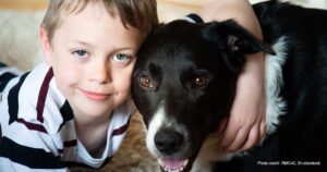 Autism and Animal-Assisted Therapy: The Power of Pets