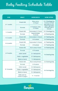 Autism and Feeding: Breastfeeding Bottle-Feeding and Solids