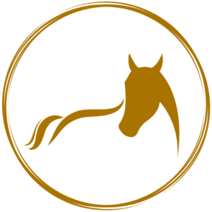 Autism and Horses: The Healing Power of Equine Therapy