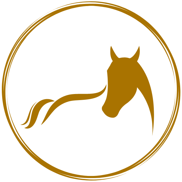 Autism and Horses: The Healing Power of Equine Therapy