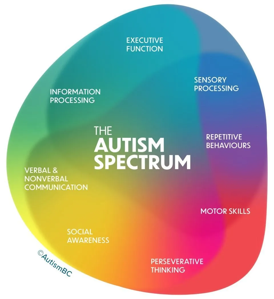 Autism Spectrum Levels: A Visual Guide