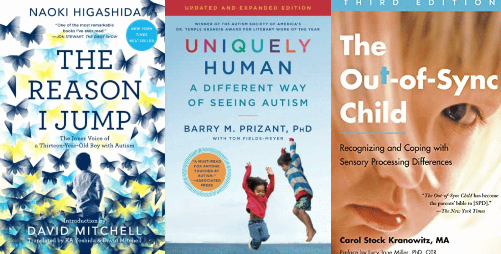 What Are the Best Books for Understanding Autism?