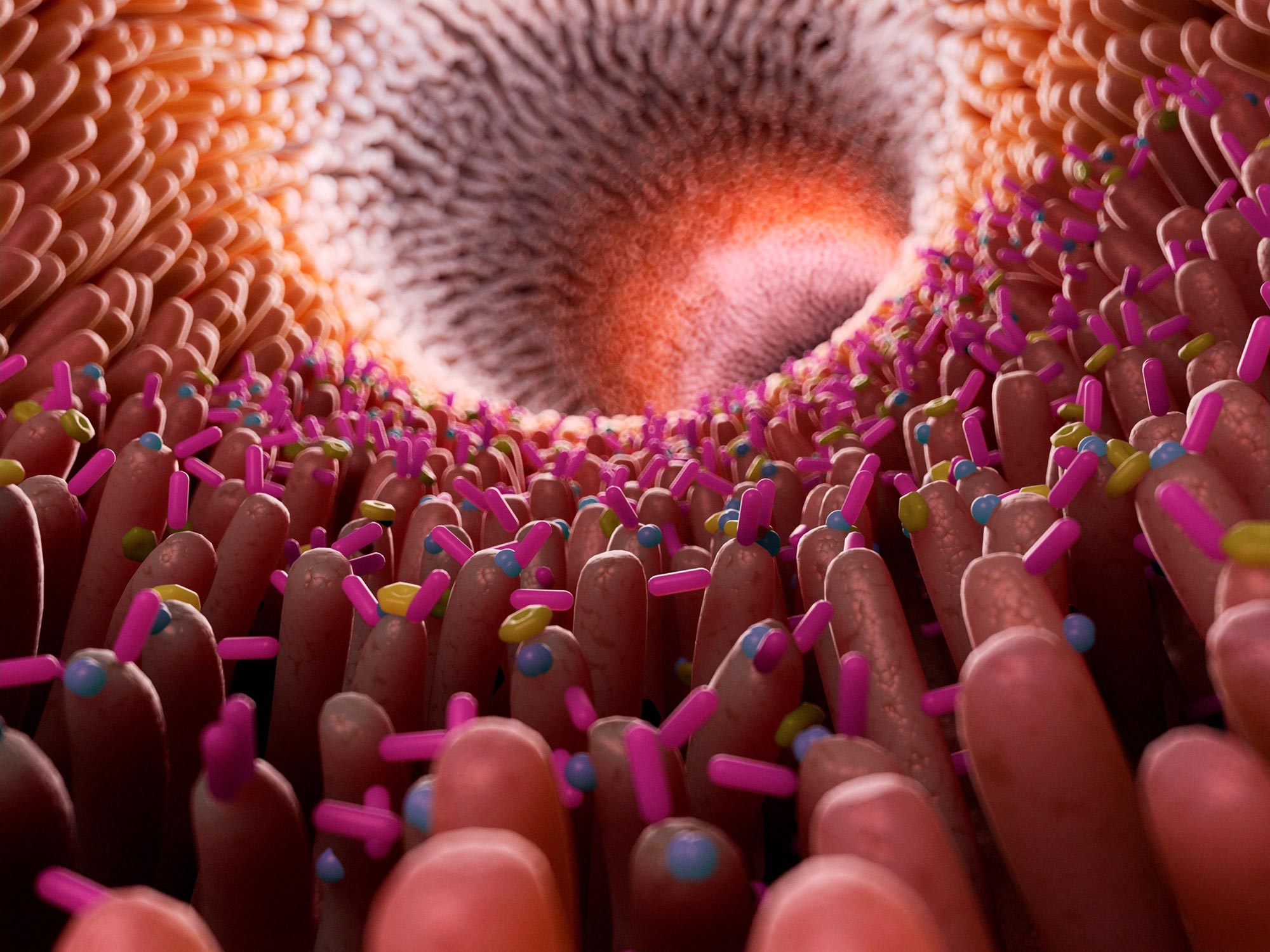 Autism and the Microbiome: The Role of Gut Bacteria