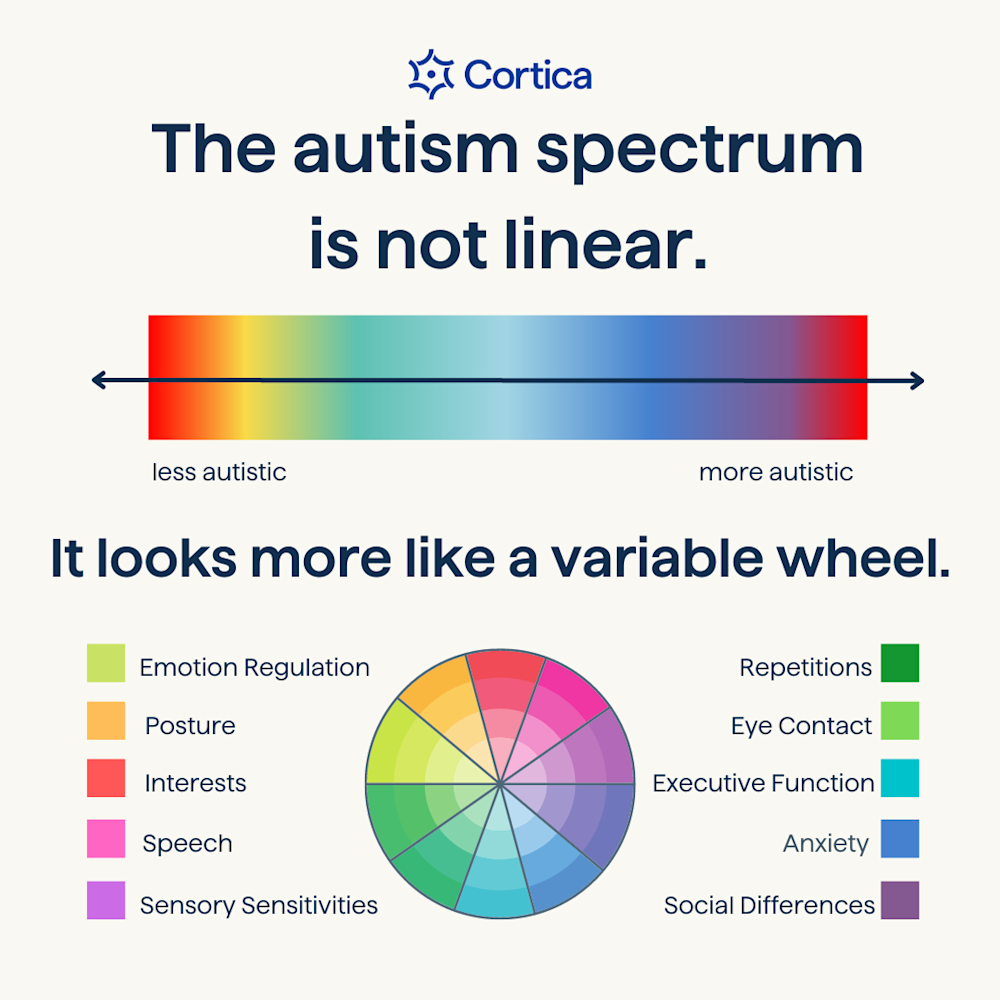 What Does **Not** Cause Autism: Debunking the Myths