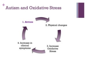 Autism and Oxidative Stress: Antioxidants and Brain Health