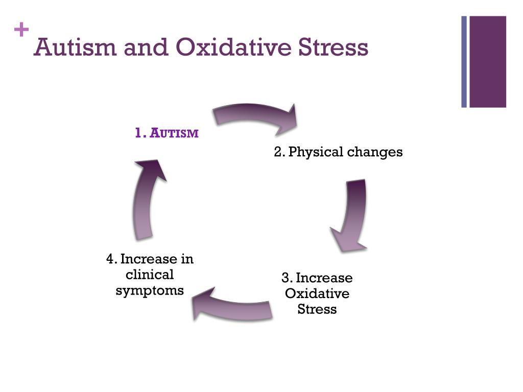 Autism and Oxidative Stress: Antioxidants and Brain Health