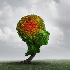 Autism and Neuroinflammation: Exploring the Immune System’s Role
