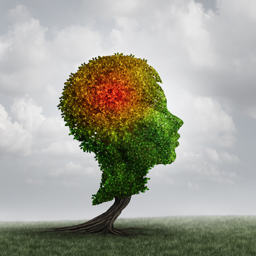 Autism and Neuroinflammation: Exploring the Immune System’s Role