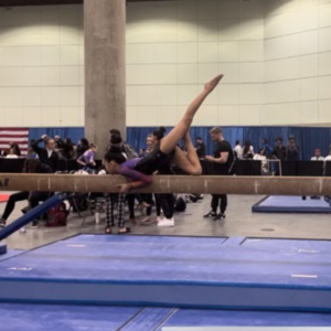 Autism and Gymnastics: Building Motor Skills and Confidence
