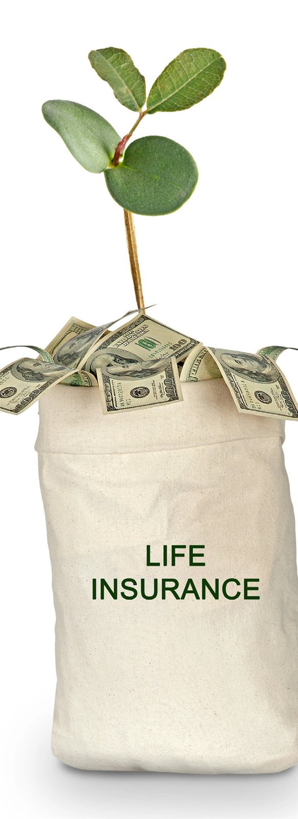Autism and Retirement Planning: Securing Your Child’s Future