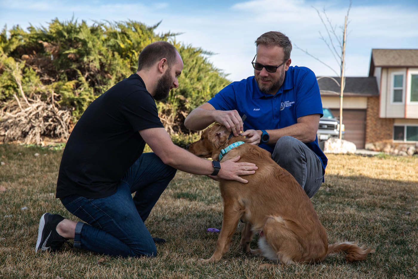 Autism and Dog Training: Teaching Responsibility and Connection