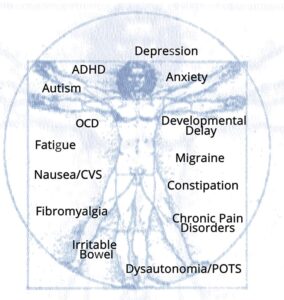 Autism and Mitochondrial Function: Energy and Metabolism